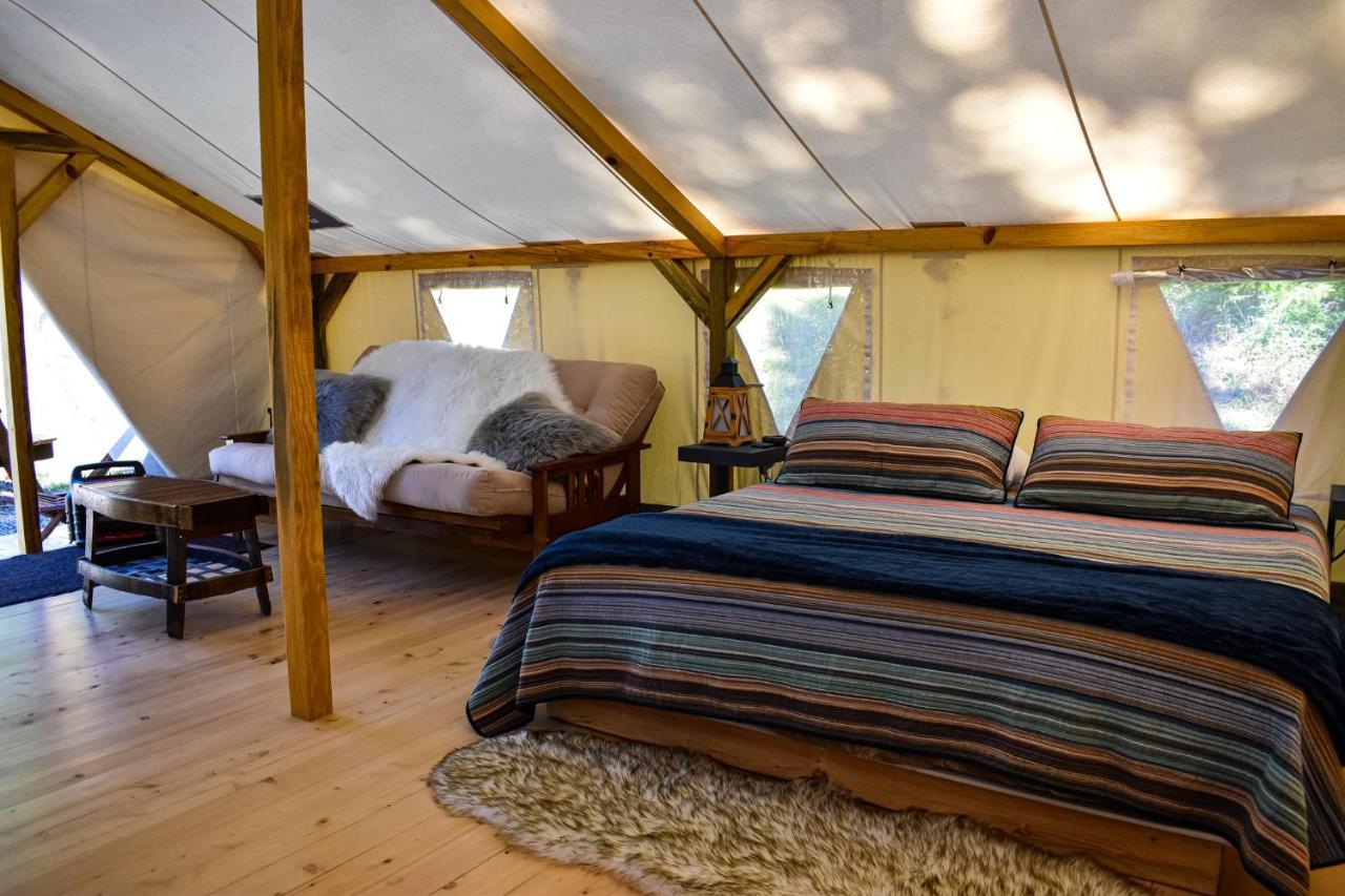 Umpqua'S Last Resort - Wilderness Cabins, Rv Park & Glamping Idleyld Park Екстер'єр фото