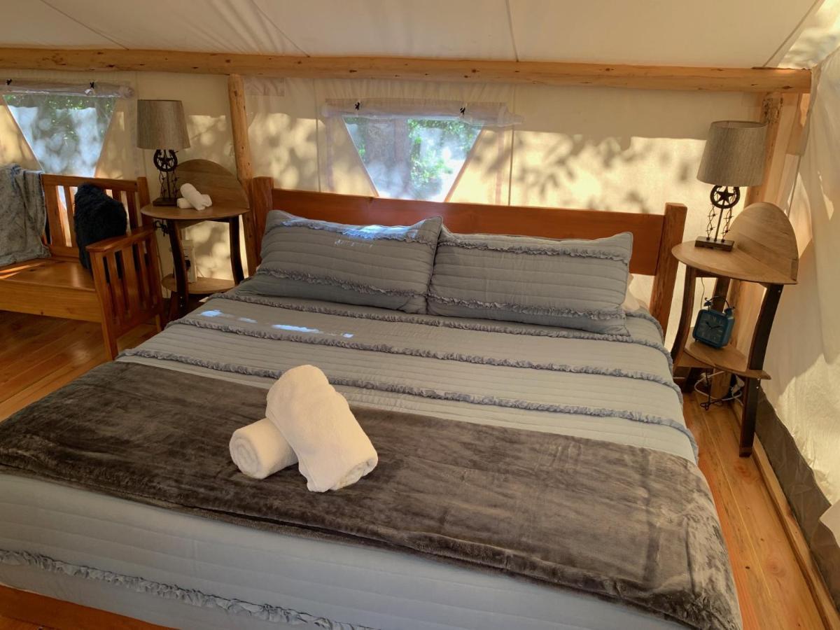 Umpqua'S Last Resort - Wilderness Cabins, Rv Park & Glamping Idleyld Park Екстер'єр фото